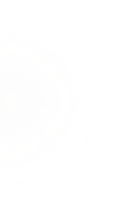 vector-12