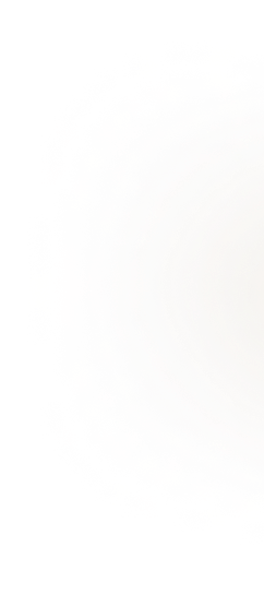 Decorative vector element
